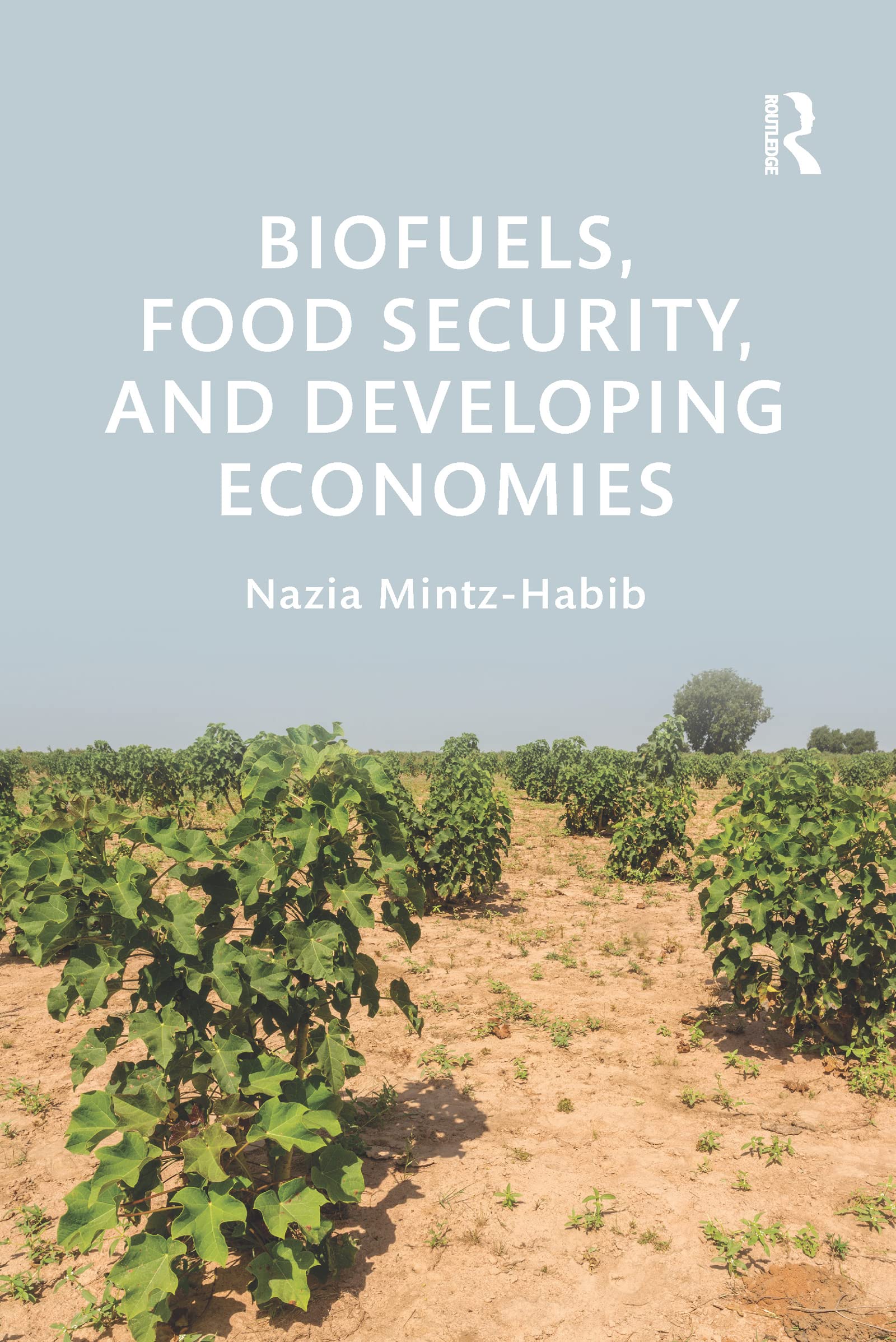 Biofuels, Food Security, and Developing Economies (Routledge Studies in Bioenergy)