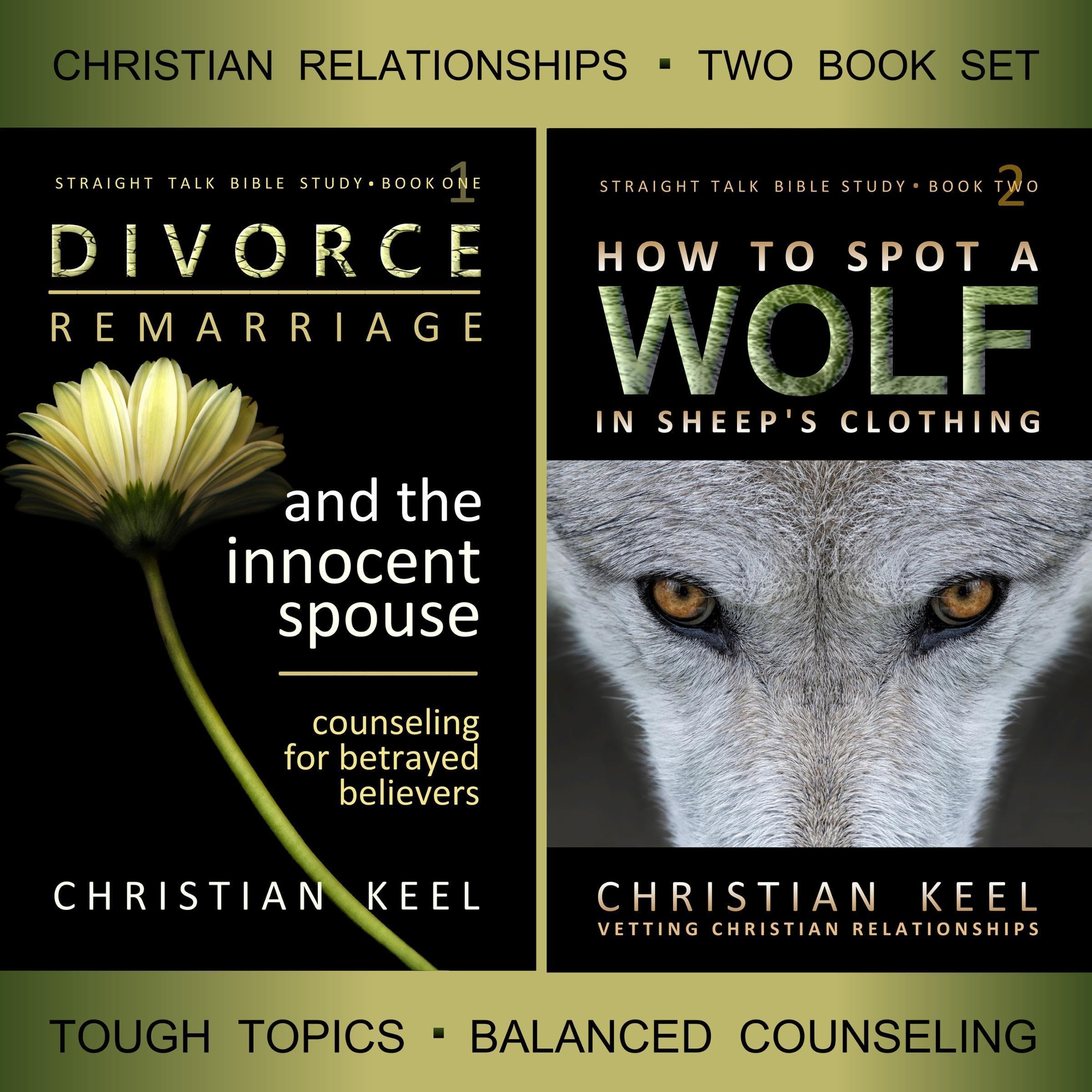 Divorce - Remarriage and the Innocent Spouse & How to Spot a Wolf in Sheep's Clothing - Two Book Set