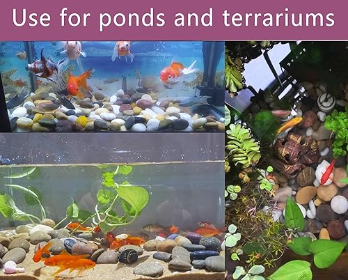 Miniatura 8 de Voulosimi Piedras de roca de río, piedras mixtas pulidas decorativas naturales, piedras decorativas para exteriores para acuarios de plantas,