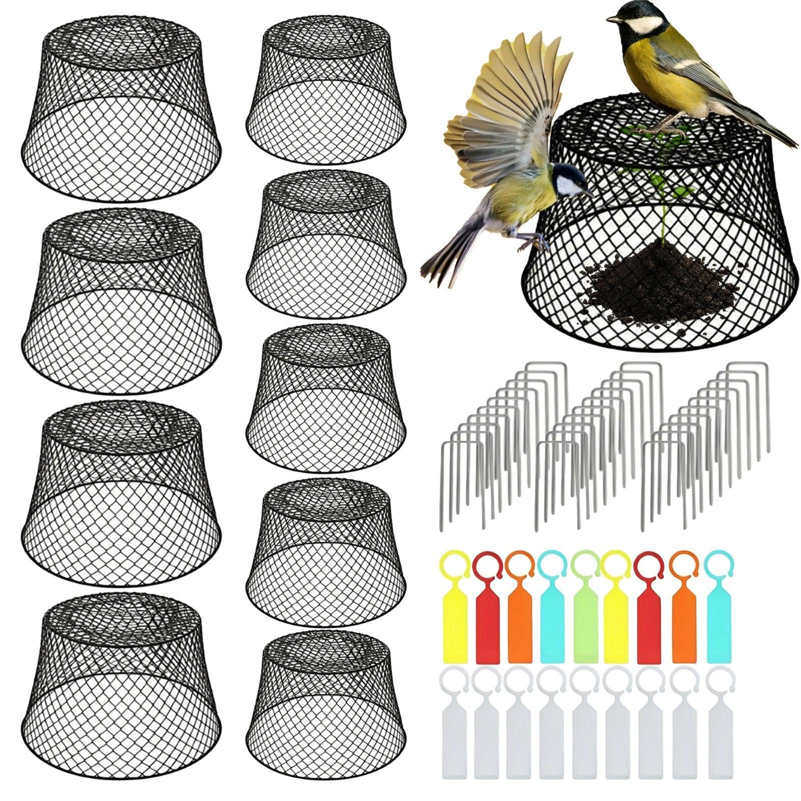 Garden Cloches - 10-częściowy zestaw barierek siatkowych – odporne na rdzę kaptury druciane | do warzyw, ptaków, krzewów, obszarów zewnętrznych, tarasów, trawników