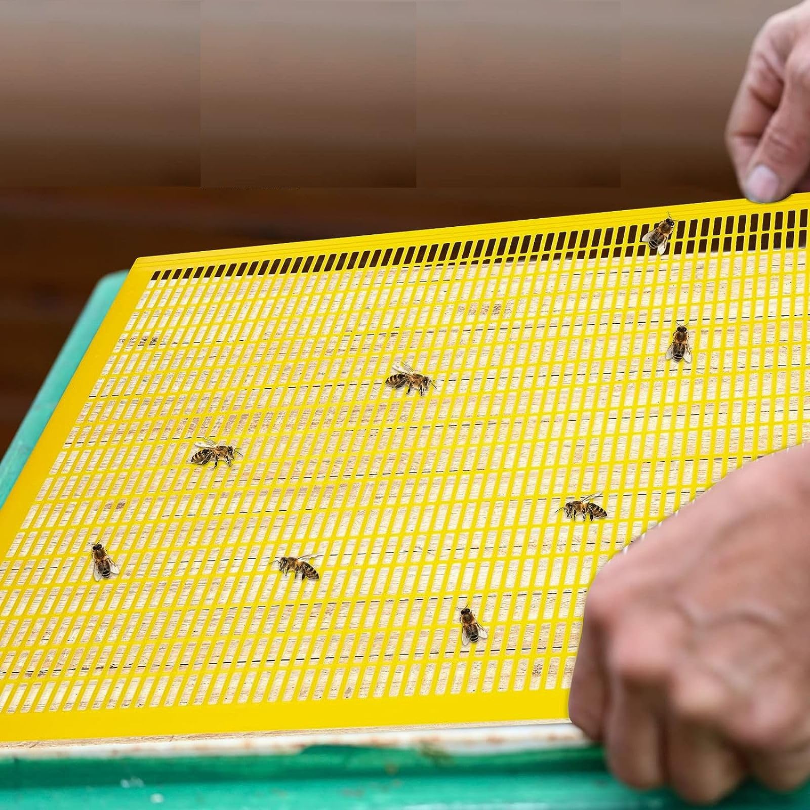 Lot de 10 boudins en plastique à 10 cadres pour ruche à 10 cadres - Pour ruche d'abeille - Pour ruche et apiculture - Séparer les abeilles des ruches - Fournitures d'outils pour ruche (blanc et jaune)