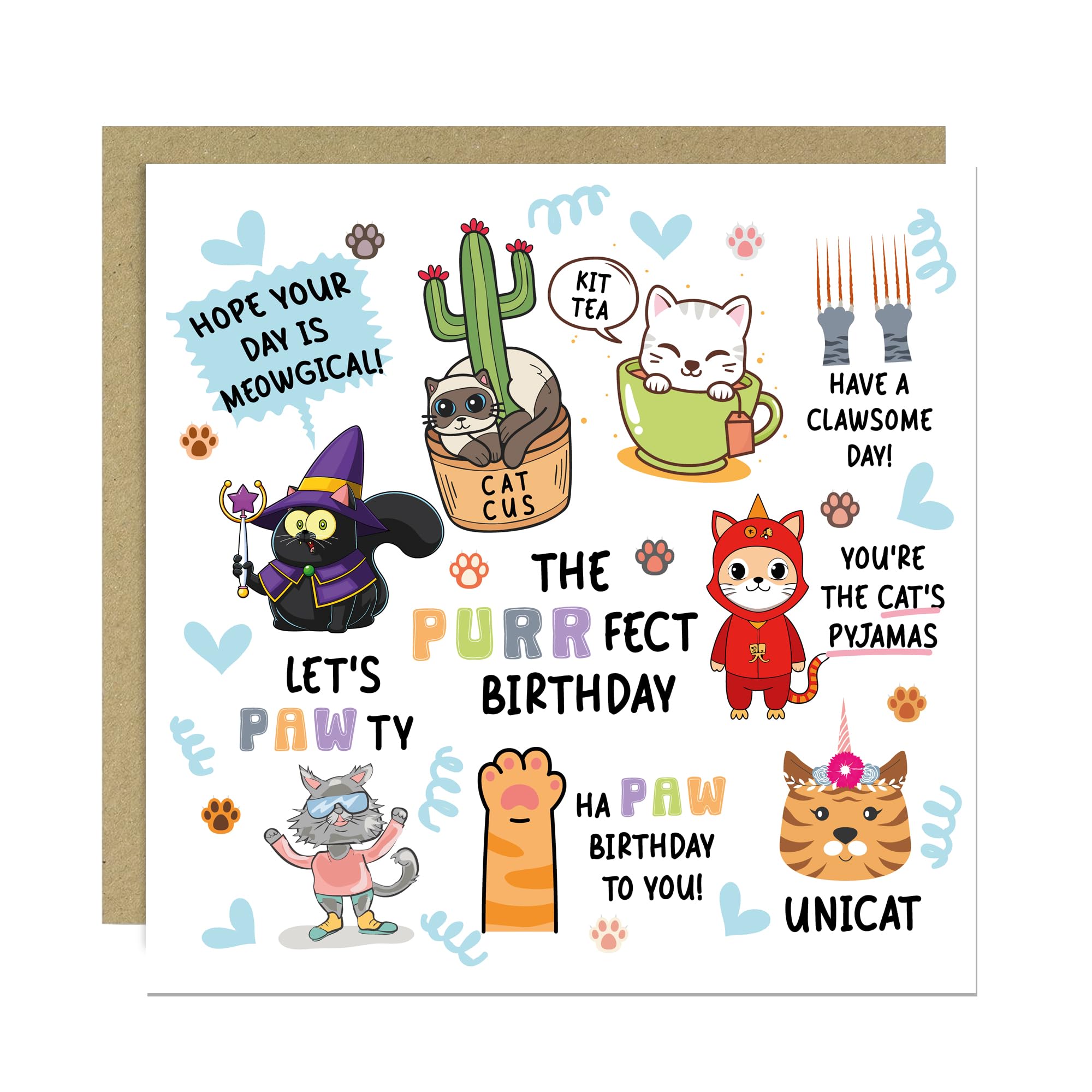 RED OCEAN Funny Cat Birthday Card For Men Women The Purrfect Birthday Card Cat Owner Lover With Kraft Envelope Included
