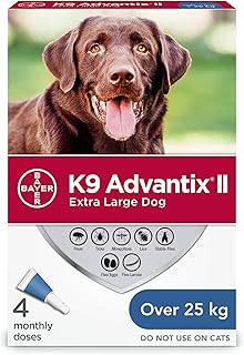 Treating Ear Infecton In Dog Treating Ear Infection In Cat Petmd Dogs Ears Infection Veterinary Care Medication For Dogs
