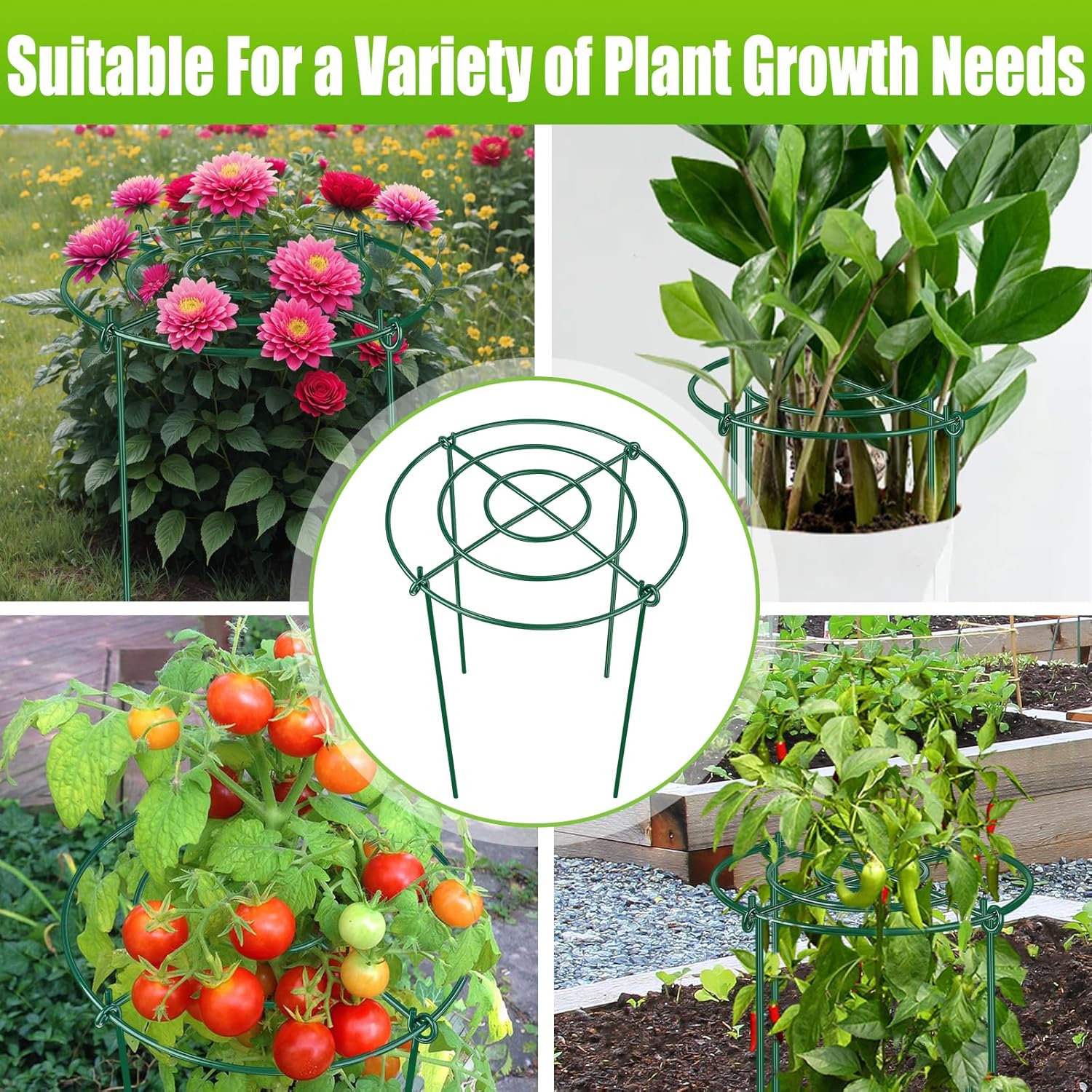 8 Pack Peony Cages and Supports, 11.5" Dx16 H Plant Supports for Outdoor Plants, Heavy Duty Metal Peony Support Cage Flower Support Rings, Plant Support Ring for Rose Tomato Hydrangea Strawberry