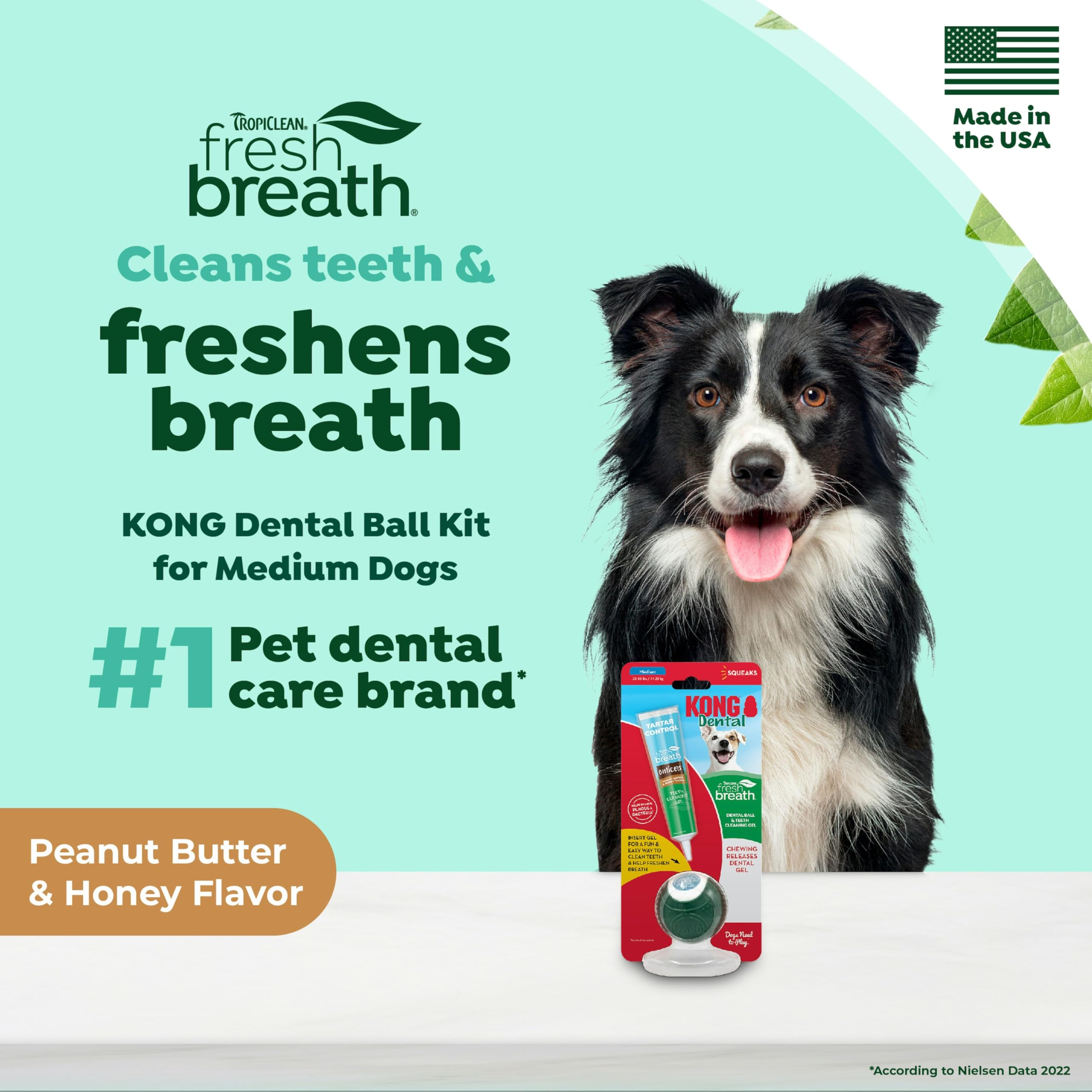 TropiClean Fresh Breath - Kong Dental Ball for Medium Dogs - Dog Teeth Cleaning Kit - Removes Plaque - Peanut Butter & Honey Dog Toothpaste, 1oz - image 2