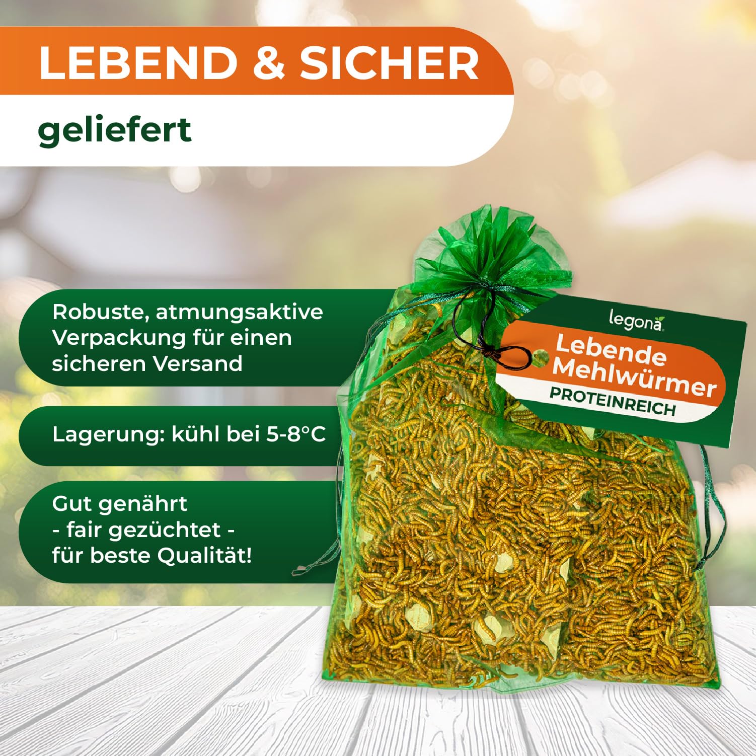 Legona Mehlwürmer lebend 1 kg - Futterinsekten für Terrariumtiere und Hühner - Tenebrio Molitor Larven - In Thermobox verpackt, kühl lagerbar