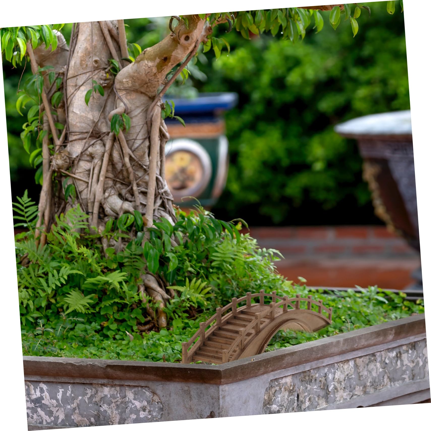 Alipis Puente de Madera Diseño Arqueado en Miniatura y Acabado en Color Café para Decoración de Mini Jardín Adecuado para Bonsái y Fotografía