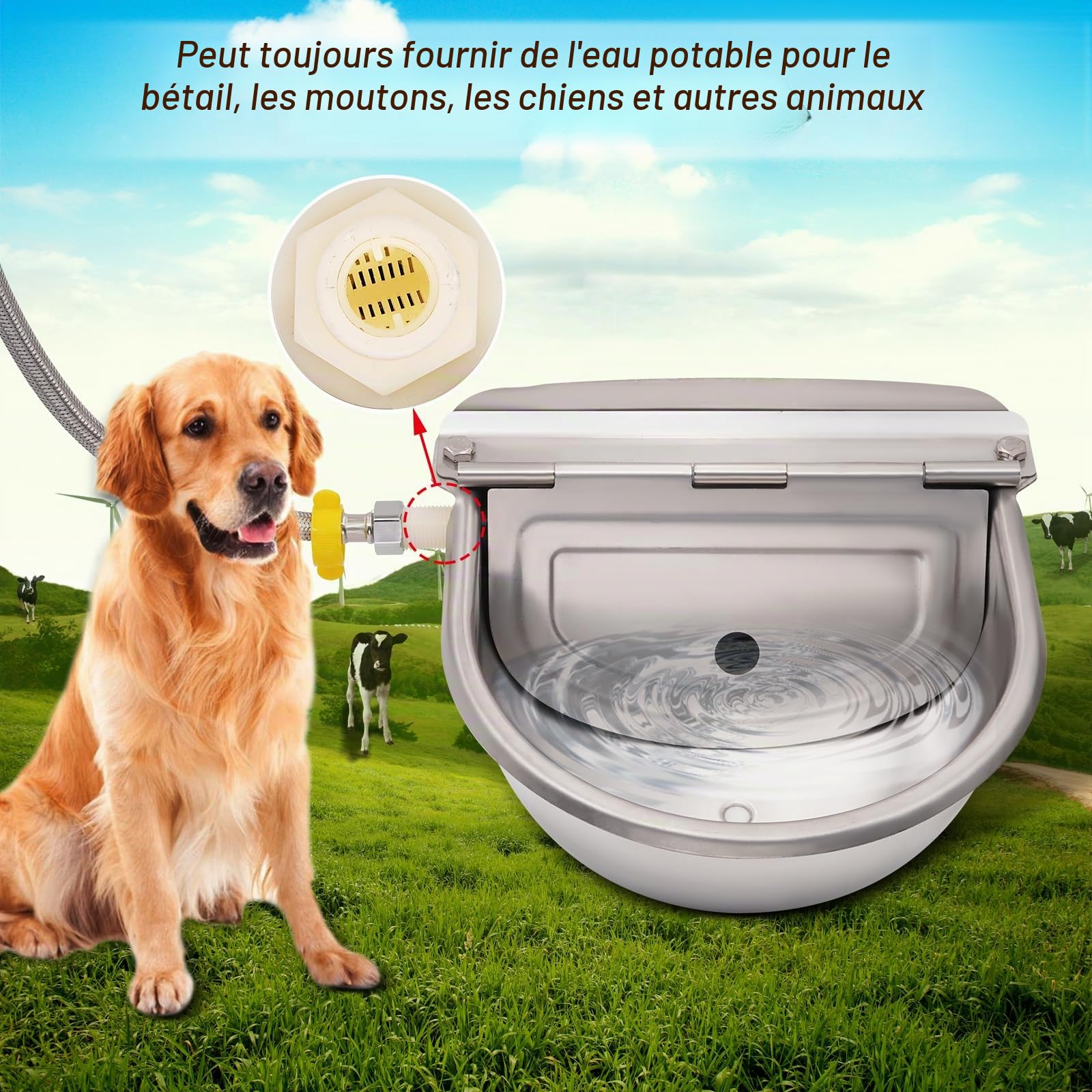 9 in 1 Gamelle d'eau Automatique avec Valve Flottante, Distributeur d'eau pour Chien, Abreuvoir avec Tuyau pour Bétail, Poules, Chevaux, Bovins, Porcs, Chèvres, Vaches