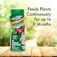 Vista 2 de Dynamite - Alimento vegetal multiusos de 9 meses de 2 libras