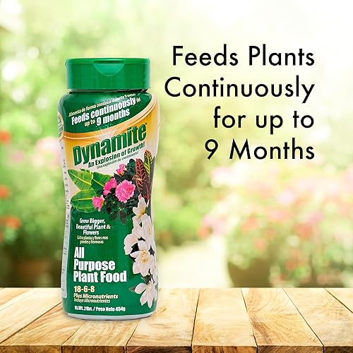 Miniatura 2 de Dynamite - Alimento vegetal multiusos de 9 meses de 2 libras