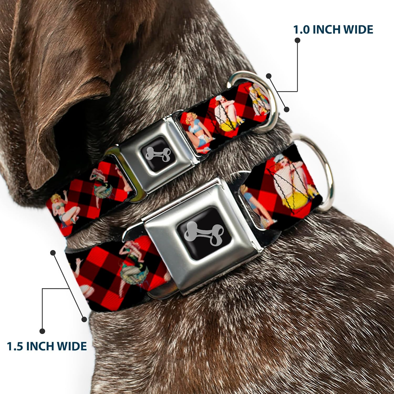 Dog Collar Seatbelt Buckle Pin Up Girl Poses Buffalo Plaid Blocks Black Red 16 to 23 Inches 1.5 Inch Wide