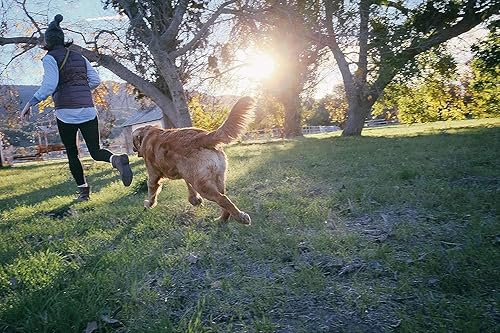 Miniatura 4 de Jolly Pets Tug-n-Toss - Pelota de masticar resistente con mango, 8 pulgadas