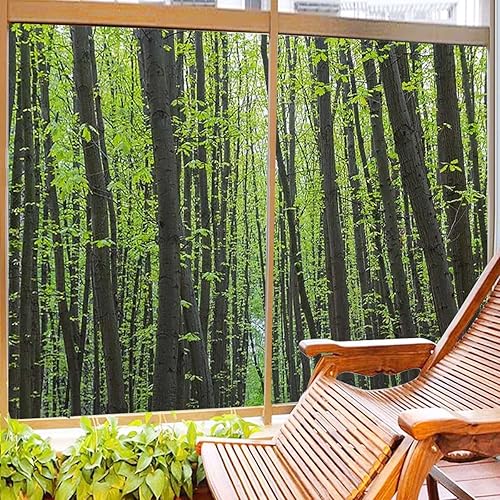 Miniatura 5 de Película verde para ventana, adhesivos de vinilo, cubierta estática para ventana de puerta, calcomanías tintadas para ventana, privacidad