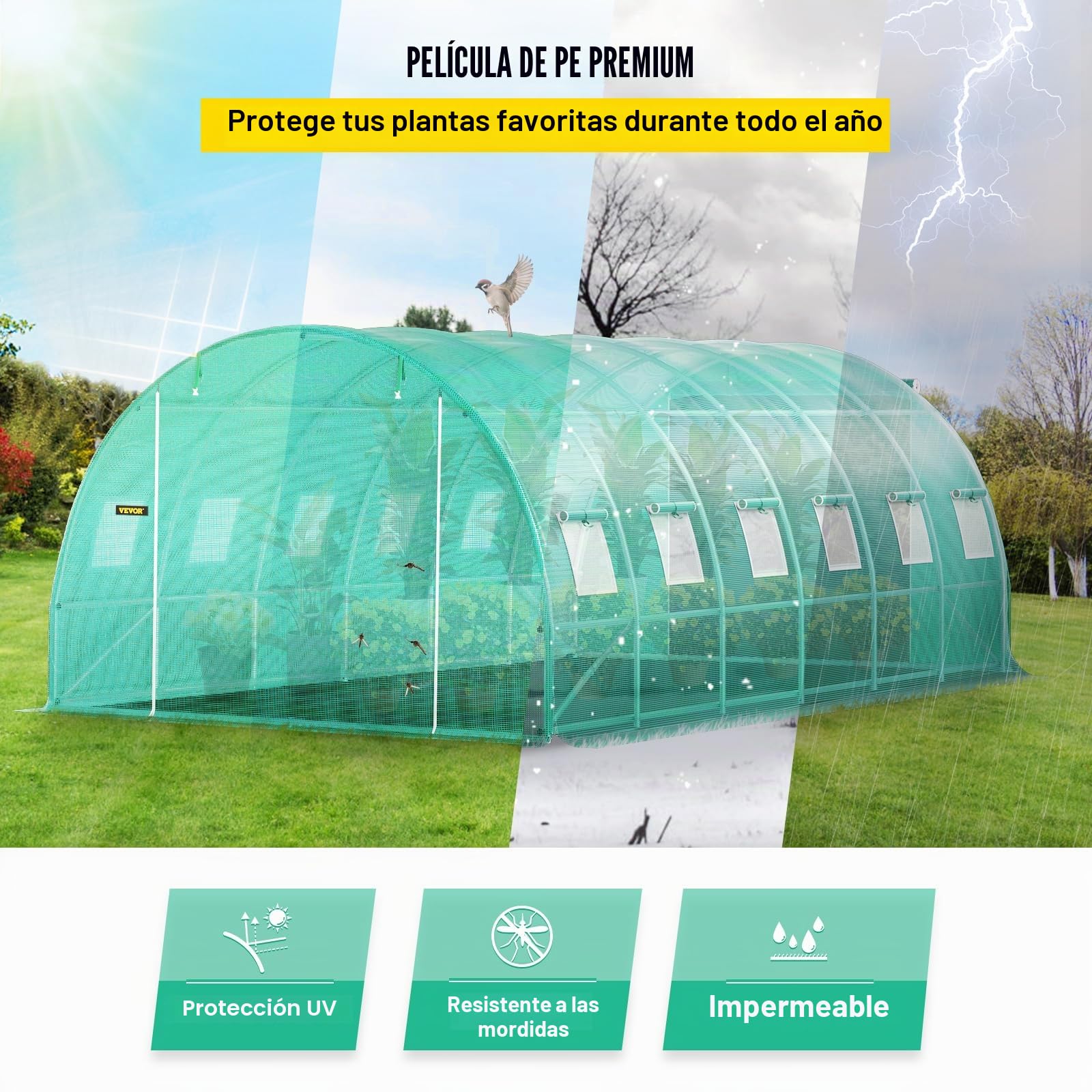 VEVOR Invernadero de Techo arqueado, 6,1 x 3 x 2,1 m, Marco de Acero galvanizado y Lona de Polietileno, túnel de Invernadero, Resistente al Agua y a los Rayos UV, Ideal para el Cultivo de Verduras y