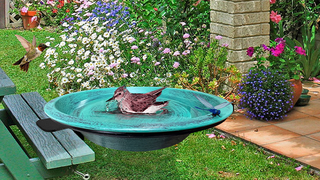 DesGully Baignoire Pour Oiseaux Ontée Sur Le Pont Avec Pince De Serrage, Bain D'oiseaux Pour L