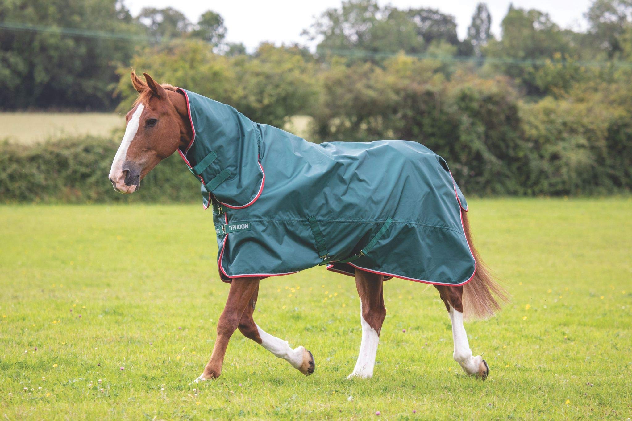 Shires Typhoon 0G Lite Combo Lightweight Horse/Pony Turnout Rug Green 7'0" / 84", Green
