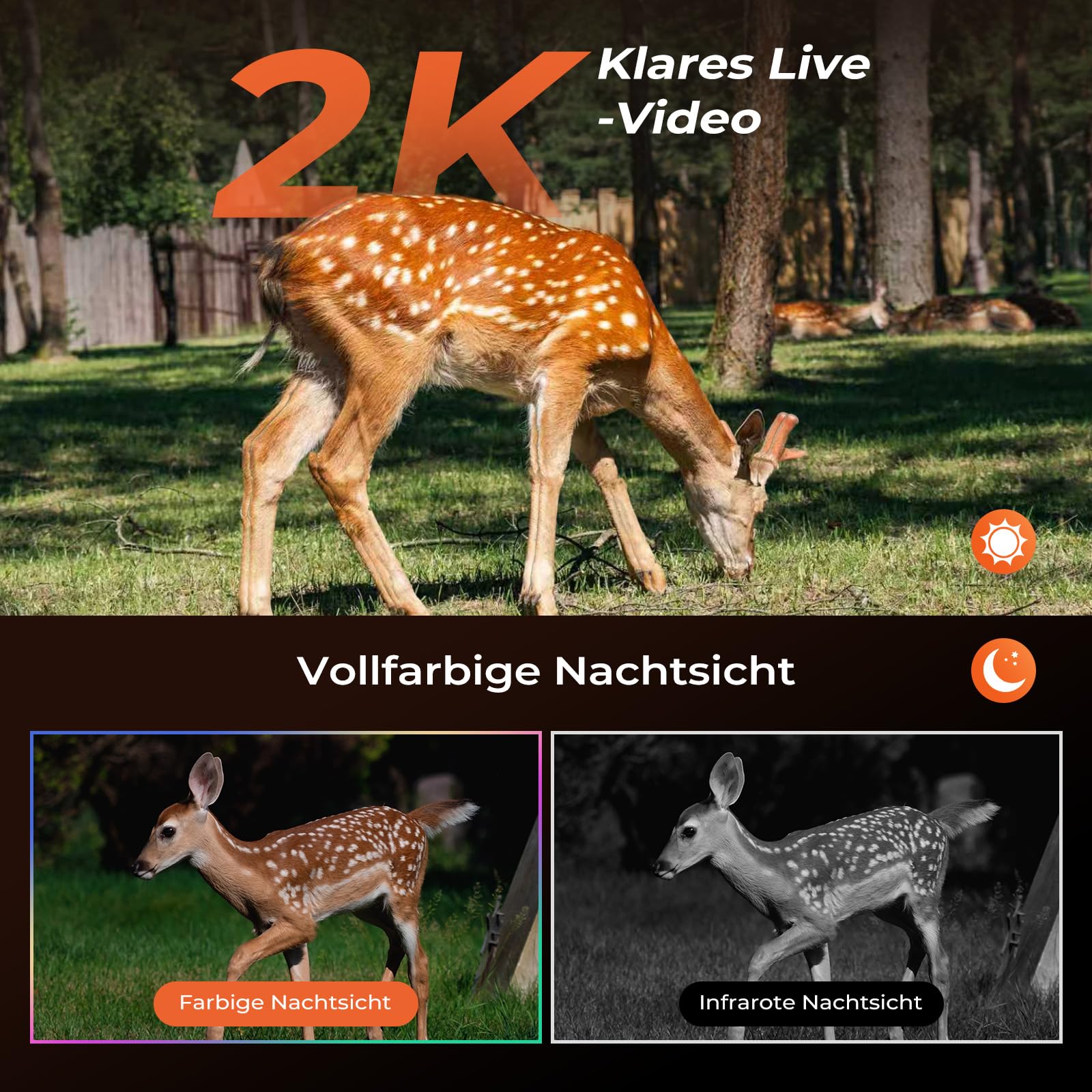 SEHMUA 4G Wildkamera mit SIM Karte, Überwachungskamera Aussen Solar mit Handyübertragung APP mit PIR Erkennung, Kamera mit SIM Karte 2K Farbnachtsicht, Zwei-Wege-Audio, 360° PTZ, IP66