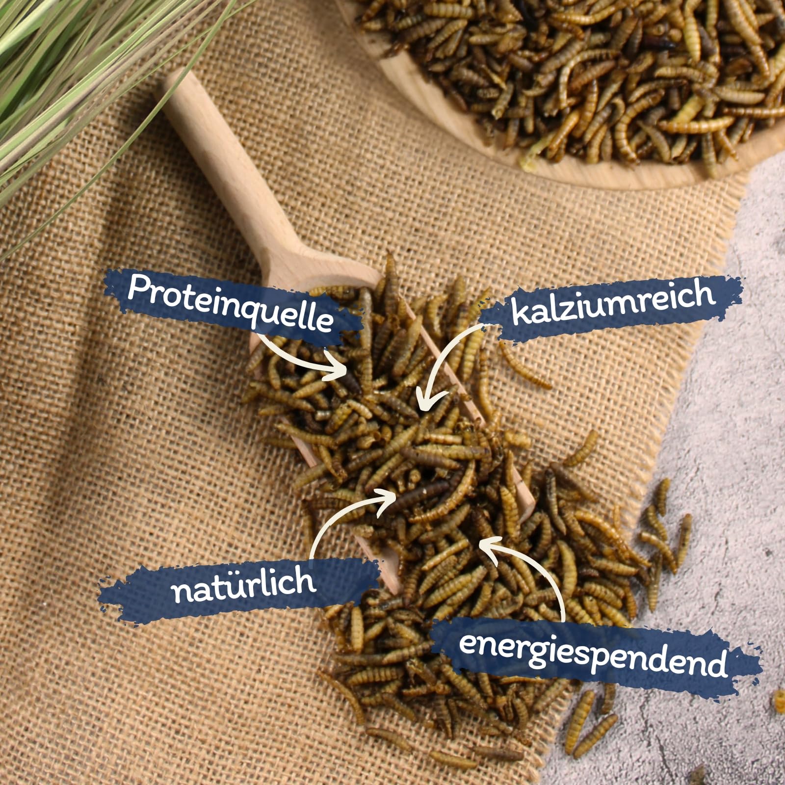 Lyra Pet® 10 kg vers de farine Mélange de larves de mouches soldats séchées Riche en protéines Nourriture naturelle pour oiseaux rongeurs