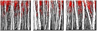 Artezo Quadro su tela, immagine grafica rossa e nero, 3 pezzi, 30 x 30 cm, decorazione da parete soggiorno