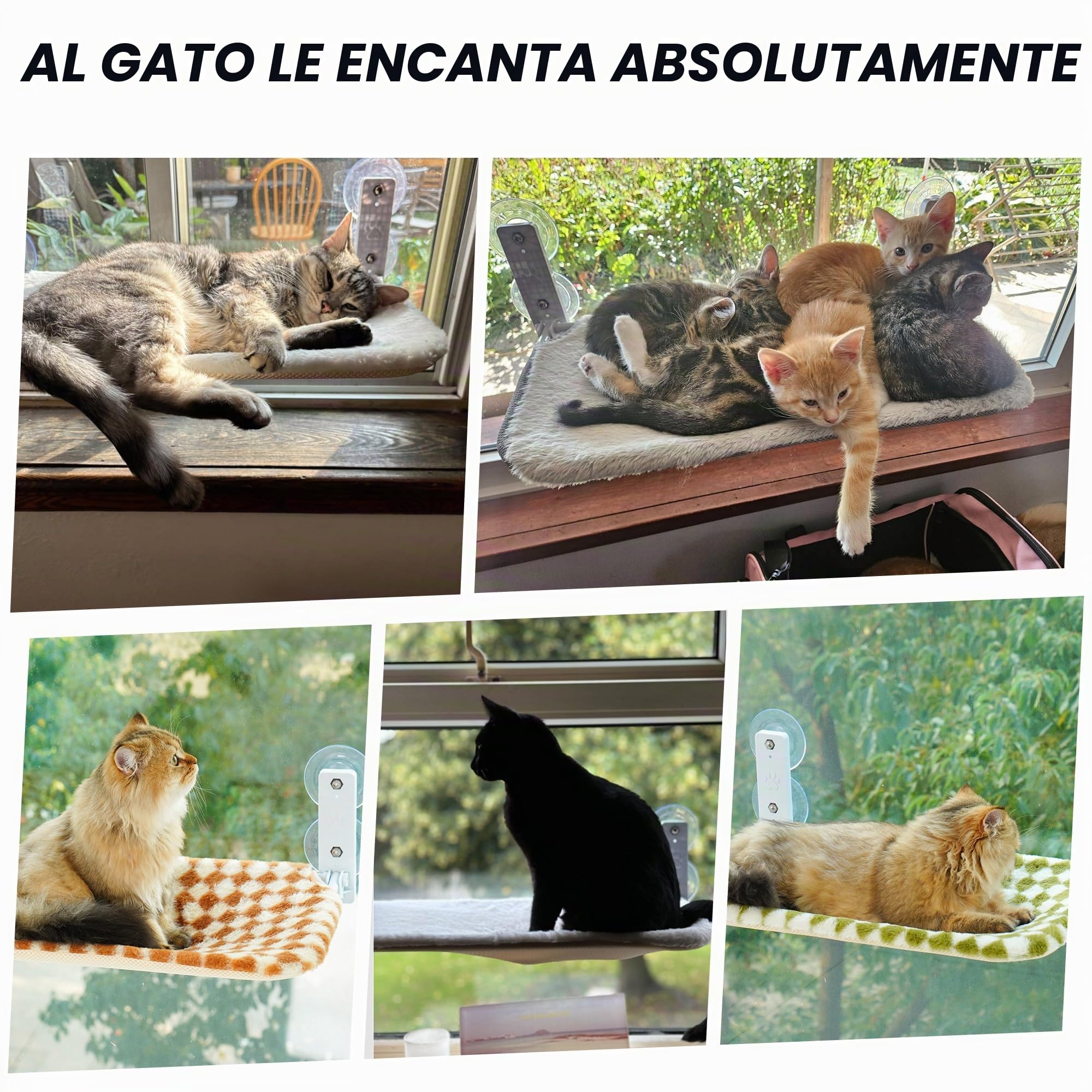 MEWOOFUN Cama de ventana para gatos, 54 x 30 cm, plegable, con ventosas estables, para hasta 18 kg, gris