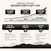 Vista 3 de Ancestral Supplements Suplemento de órgano de res alimentado con pasto, apoya el bienestar de todo el cuerpo con una mezcla patentada de hígado