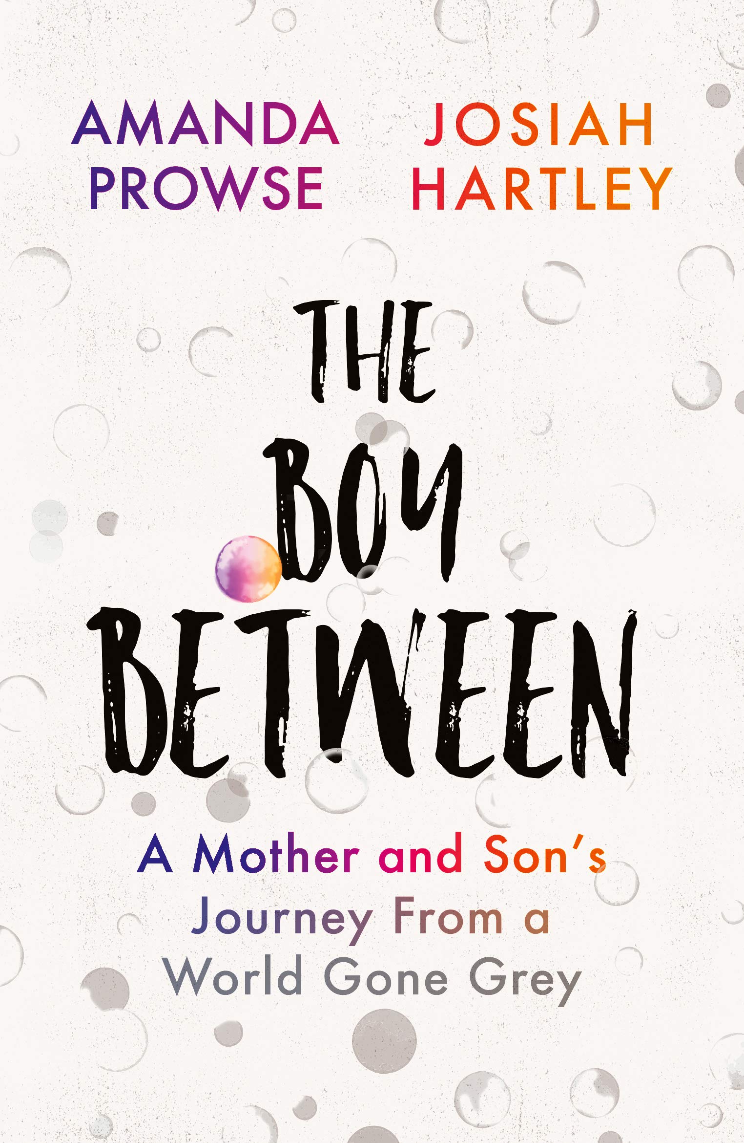 The Boy Between: A Mother and Son's Journey From a World Gone Grey by Amanda...