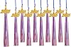 10 Pieces Graduation Tassels Whit Charm 2025 for Graduation Cap and Gown,Blue White Wite Red Tassels