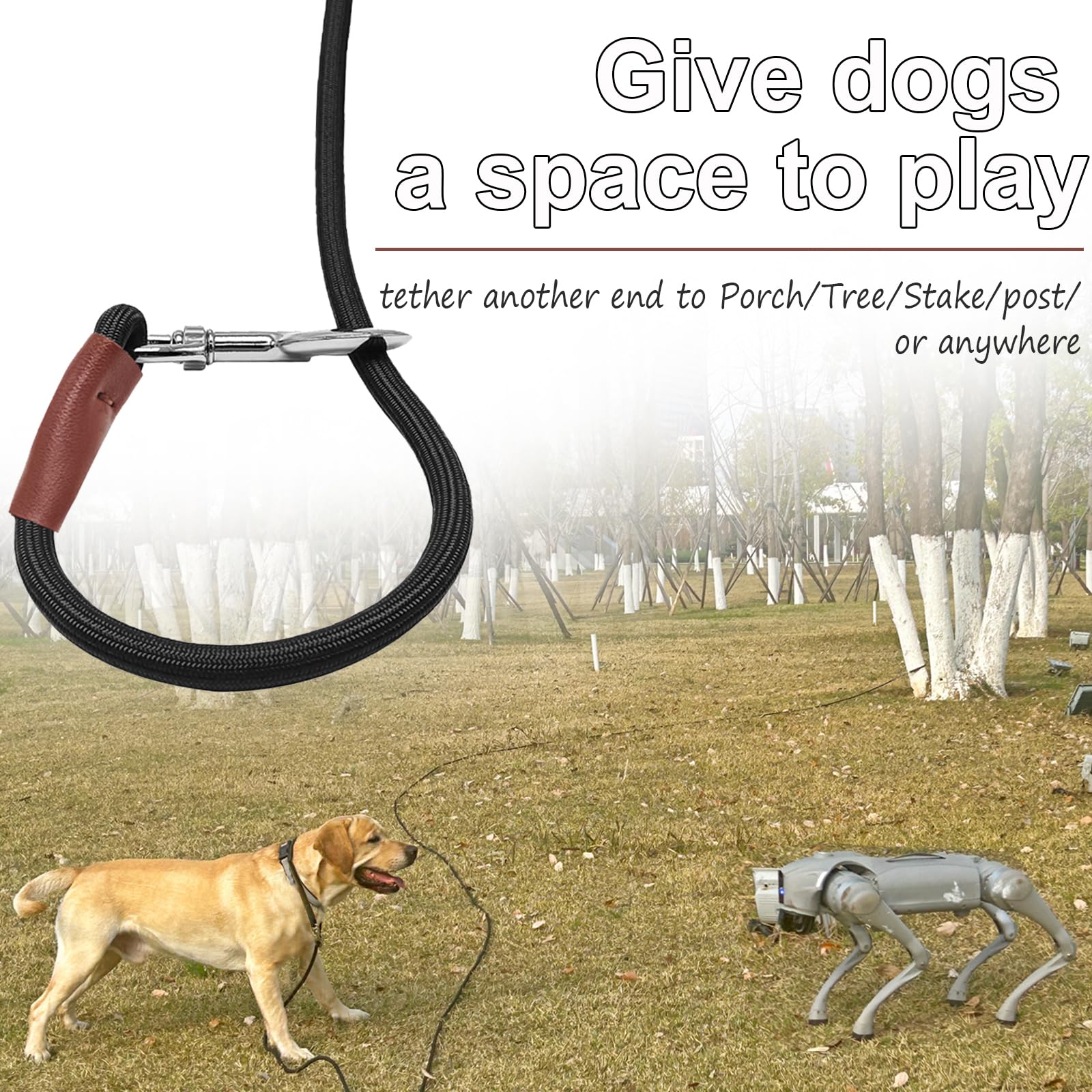 SEPXUFORE Tie Out Rope Dog Leash - Image 3