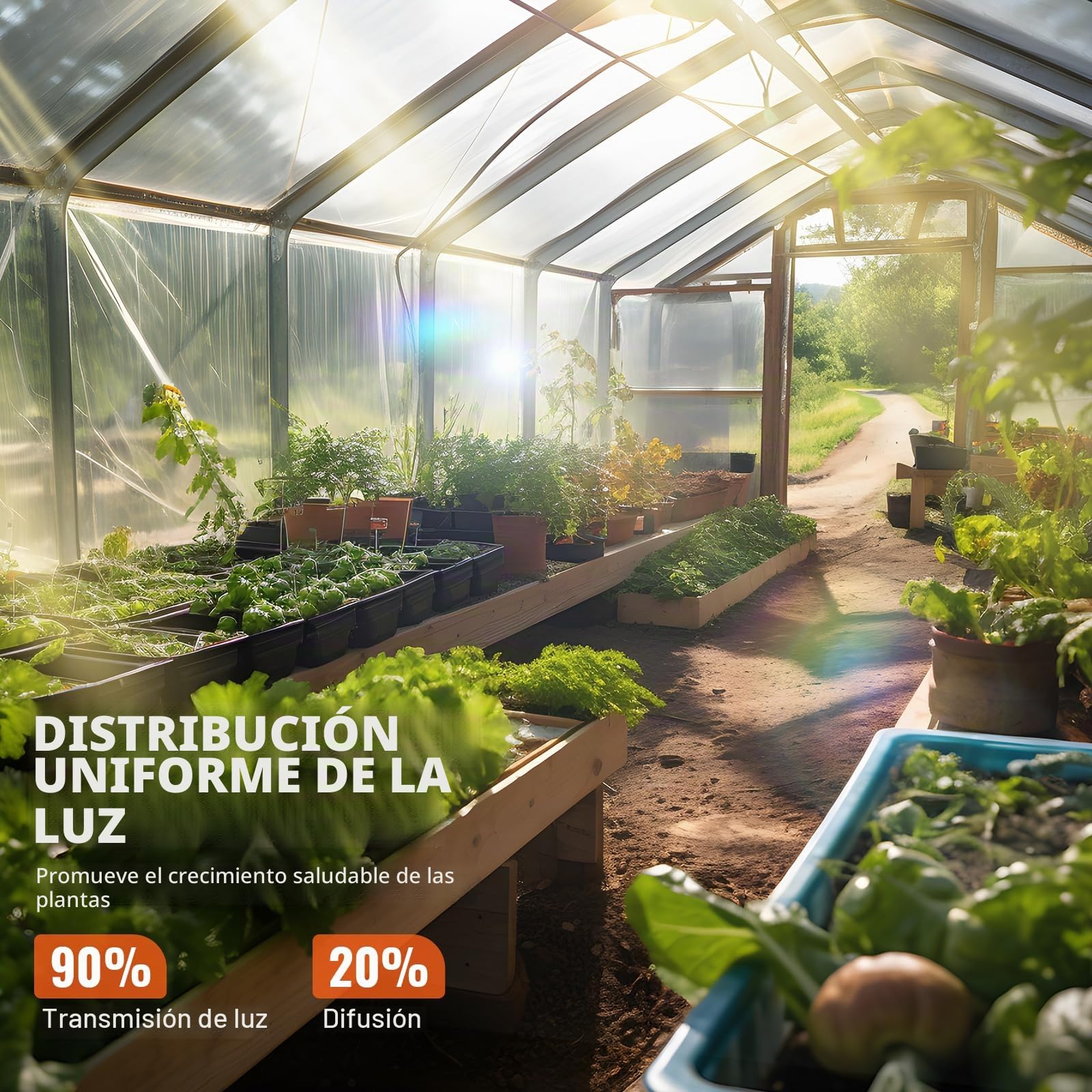 VEVOR Cubierta de Invernadero Cubierta de Plástico Transparente para Invernadero 7,6x7,6 m​ Espesor de Película de Polietileno 6 mils Resistente a los Rayos UV Protección para Jardinería, Agricultura