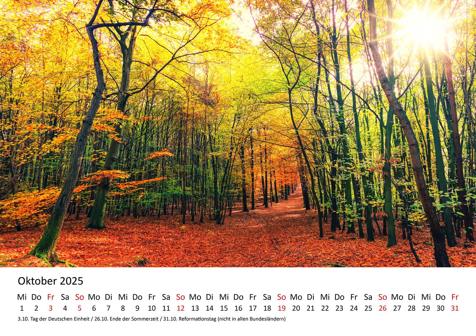 Calendario Da Parete 2026 La Magia Della Foresta – Formato A3, Carta Premium, Spirale Argentata, Immagini Spettacolari Della Natura