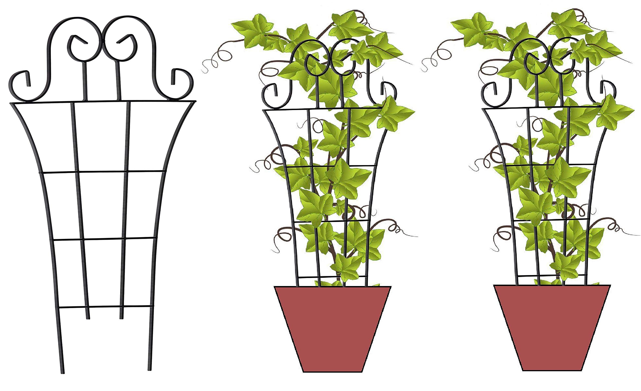 Jabox Strongest Rust Less Metal Trellis Plant Support, Plant Supporters for Climbing Vines and Plants, Dark Grey, 50 X 25 CM (JDT-01, Pack of 3) (B08X2P76CQ) Amazon Price History, Amazon Price Tracker