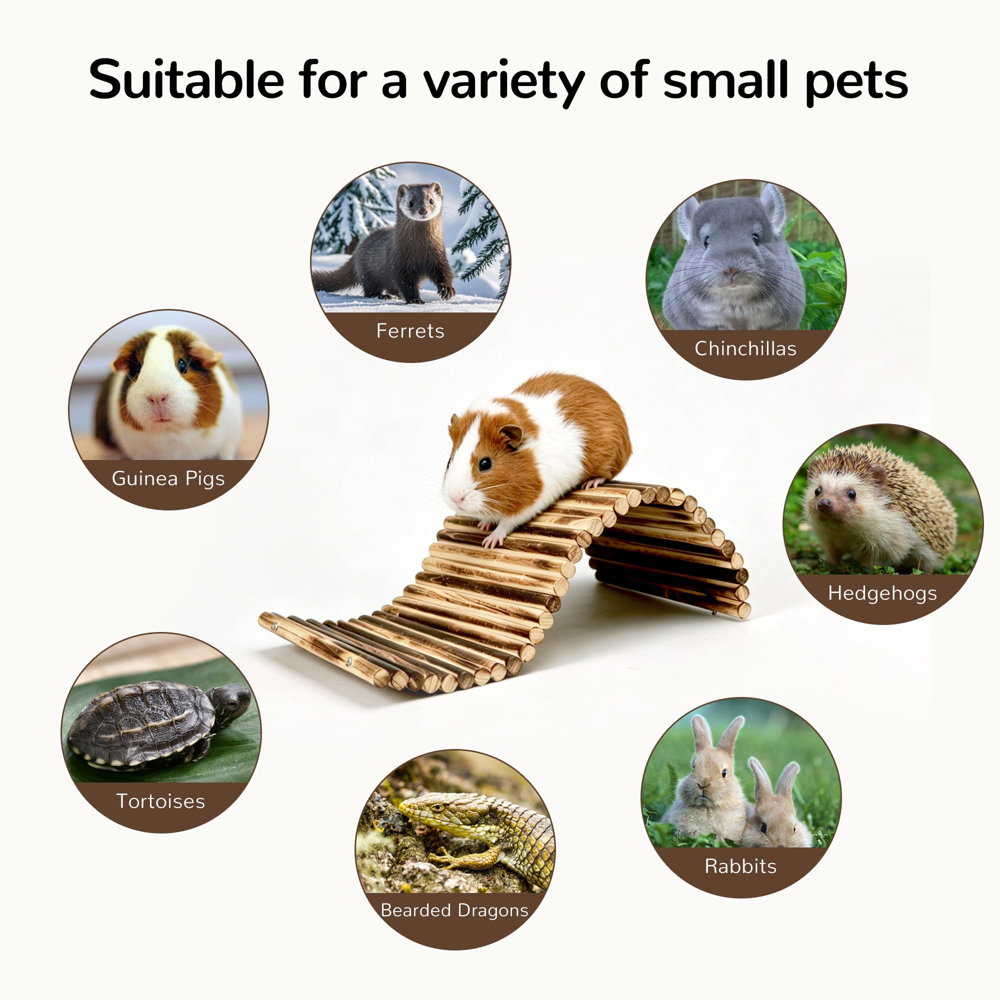 Extra Large en Bois Multi-Usages Cachette Tunnel Rampe Pont Tube Escalade Jouet pour Cochons d'Inde, Petits Lapins, Tortues et autres Petits Animaux de Compagnie 50cm x 24,9cm