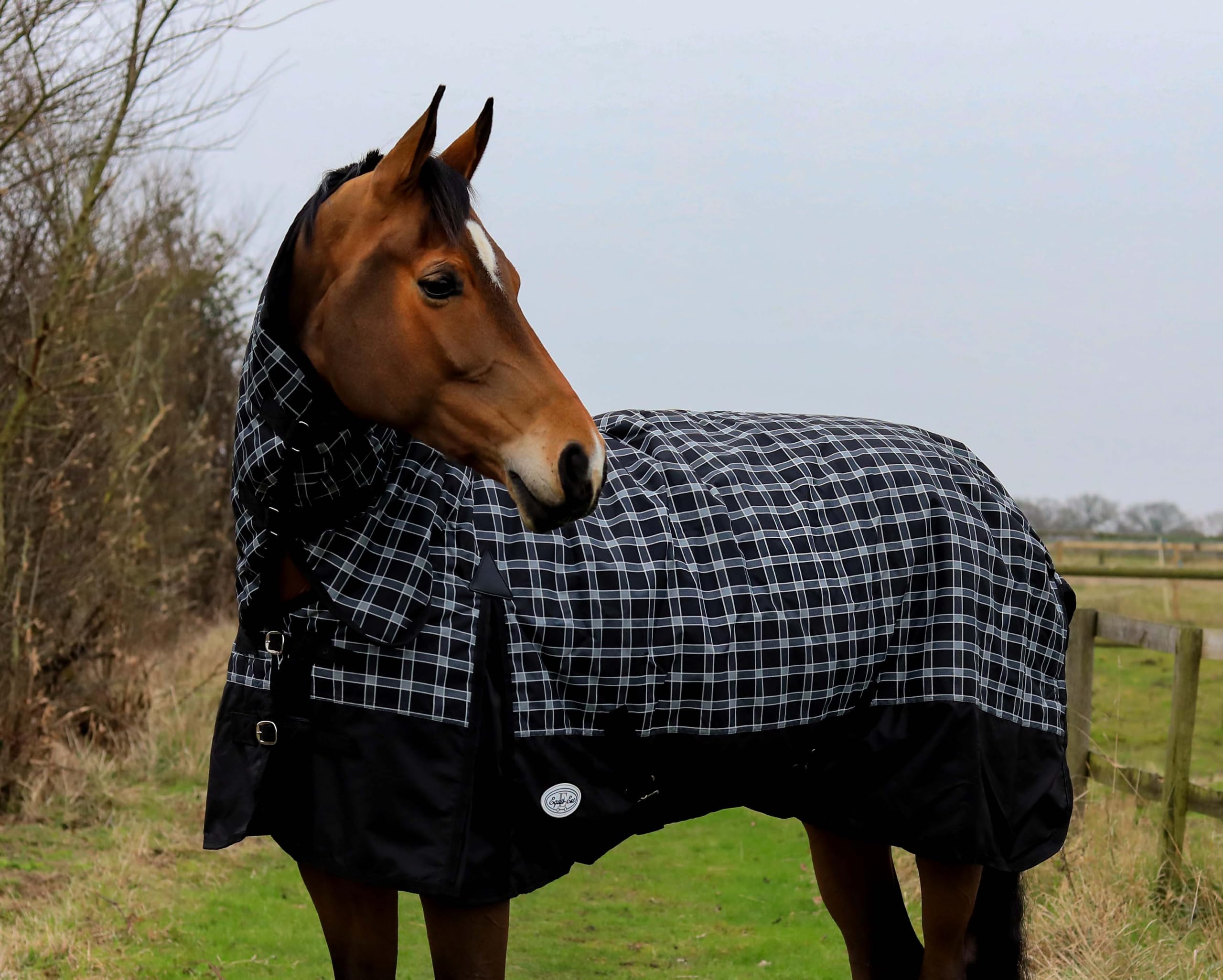 Equii-Est Trewyn Horse Turnout Rug, 600 Denier Rip-Stop with Teflon Coating, Fixed Neck, 350g Fill, Heavy Weight Winter (6ft0)