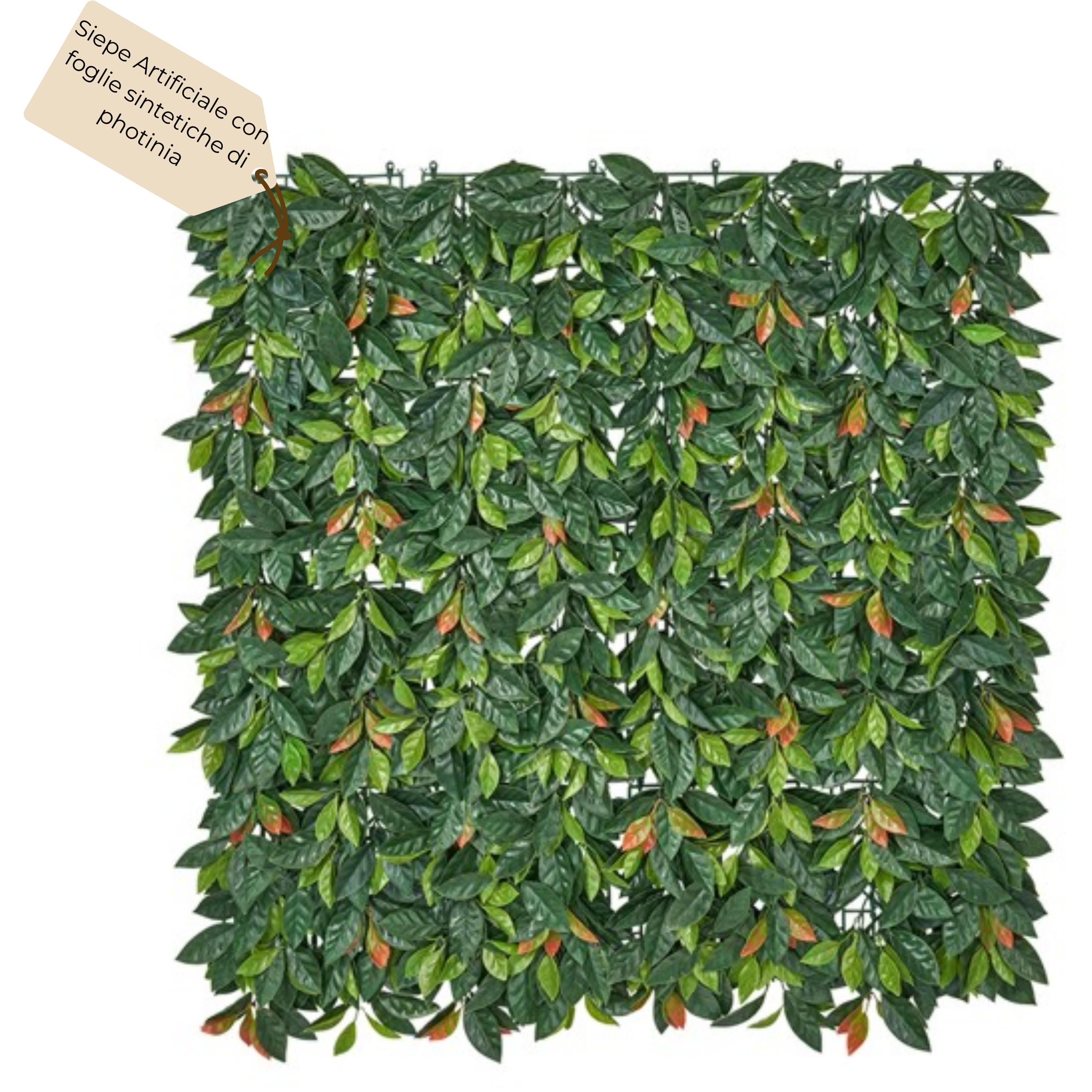 Siepe Sintetica Edera Finta Foglie Sintetiche di Photinia 1x1 MT Anticaduta Lavabile e Resistente ai Raggi UV Ideale per Terrazzi,Giardino,Balcone Ambiente Interno Esterno