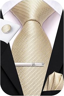 Hi-Tie Classic Mens Silk Ties Set 4 PCS Necktie Pocket Square Cufflinks Clip Pin Solid Strip Paisley Tie