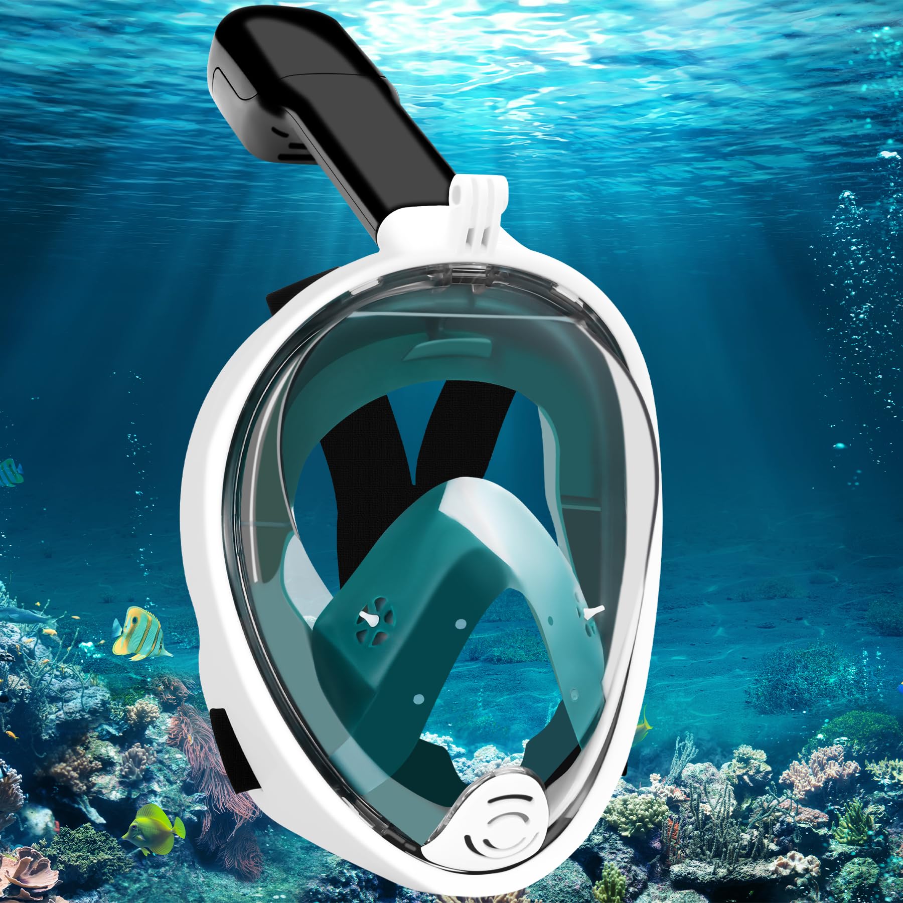 Schnorchelmaske Erwachsene Tauchermaske, 180° Sichtfeld Faltbare Professionelle Vollmaske Tauchmaske, Verstellbares Abnehmbarer Snorkel Mask Wasserdicht mit Kameraposition für Damen Herren