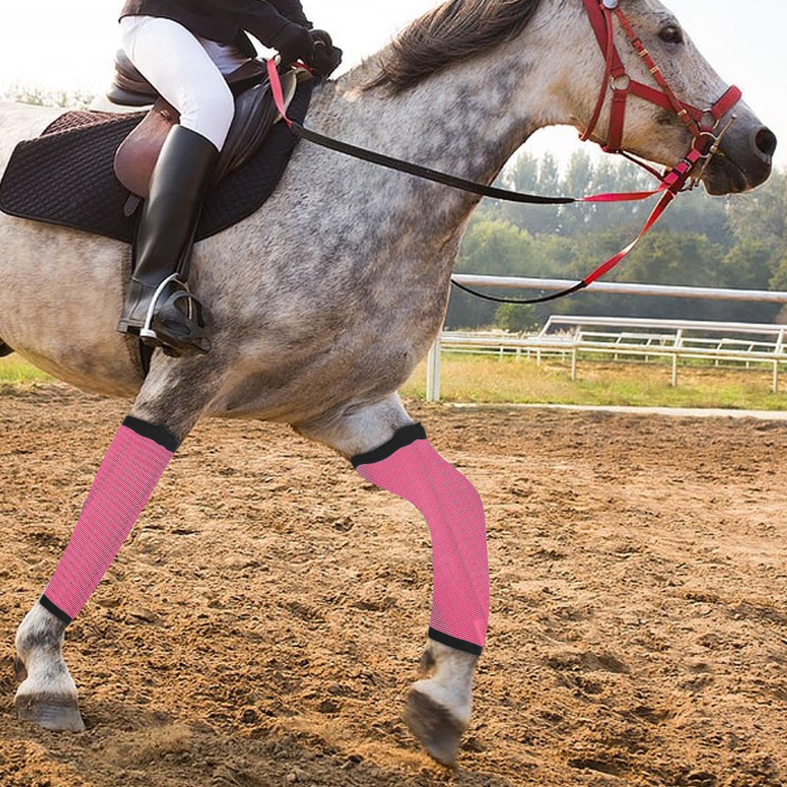 Bottes anti-mouches pour cheval, leggings réutilisables pour cheval, bottes de mouche, bottes de mouche durables, minimisent la fatigue des jambes et réduisent les coups de pied