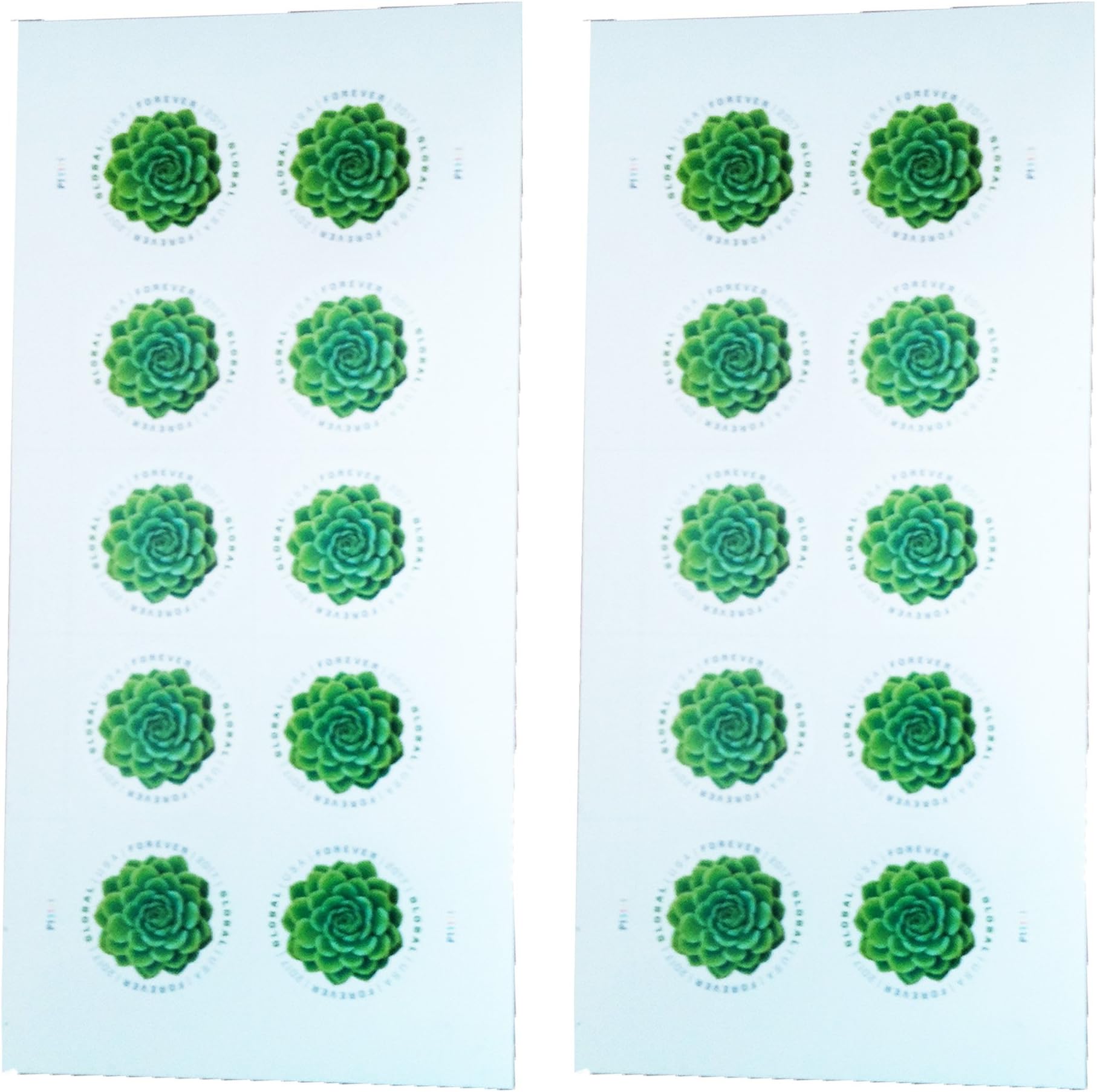 United States Postal Service Green Succulent Sheet of 10 Global USPS First Class International Forever Postage Stamps (2)