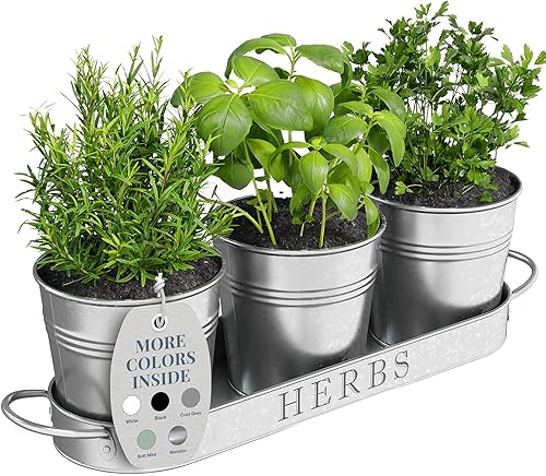 Miniatura 10 de Barnyard Designs - Juego de macetas con bandeja para huerta, estilo campestre, macetas para hierbas de interioresexteriores, para repisa de ventana