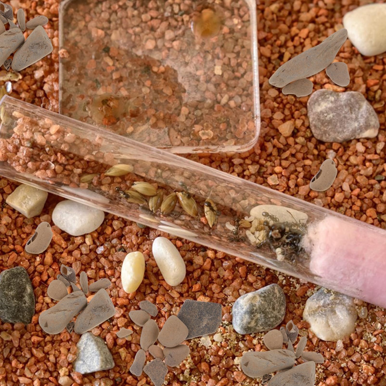 VANZACK Sacchetto Ghiaia Per Acquari Pietra Decorativa Per Vasi Da Fiori Accessorio Multifunzionale Per Acquario Piccola Pietra Riutilizzabile Per Aree Verdi Per Piante Da Vaso