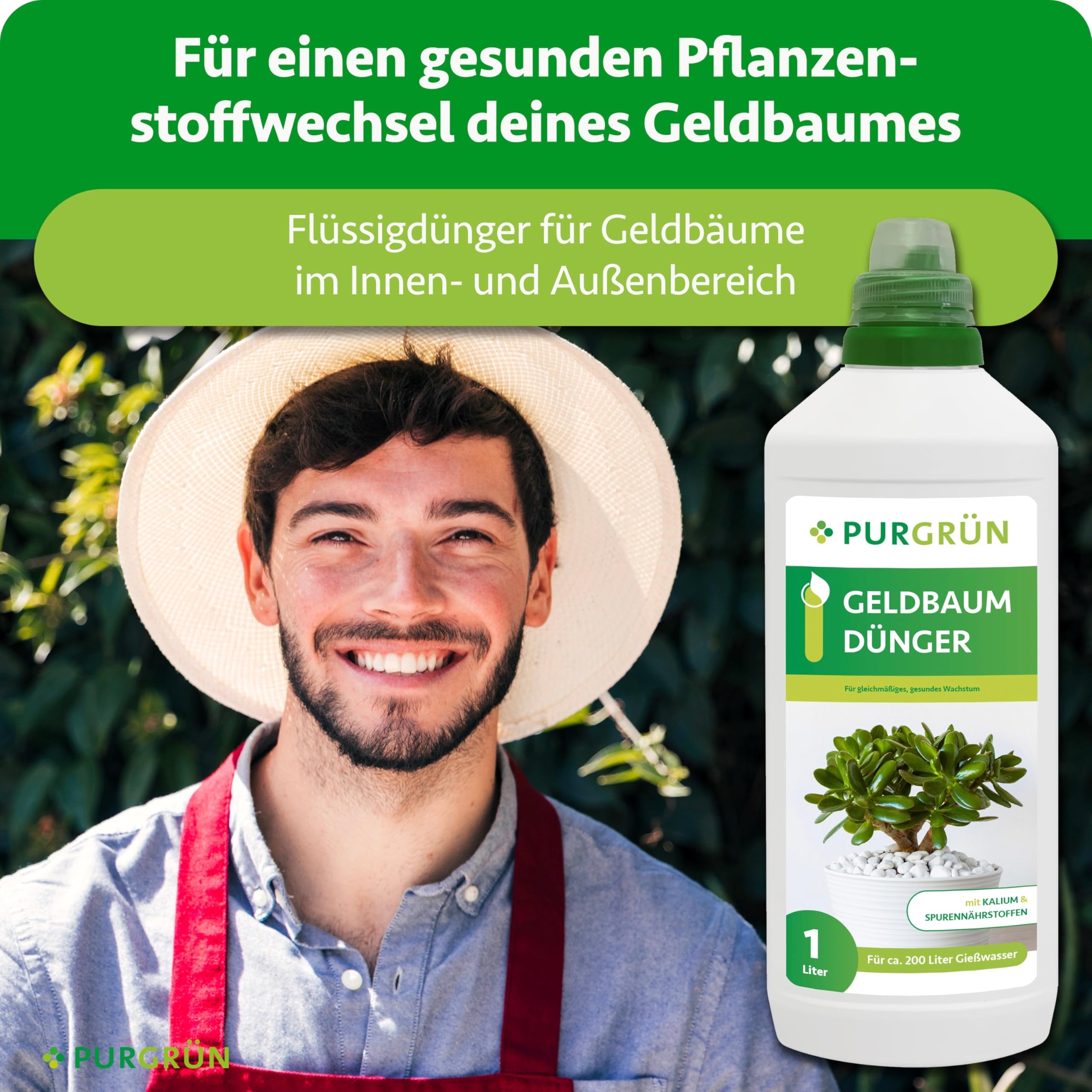 Geldbaum-Dünger 1 Liter – Spurennährstoffe für gesundes Wachstum – Extra Kalium fördert die Widerstandskraft – Ergiebiges Konzentrat für 400 Liter Gießwasser – Premium-Flüssigdünger