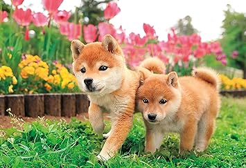 Amazon 300ピース ジグソーパズル いっしょに走るわん 26x38cm ジグソーパズル おもちゃ