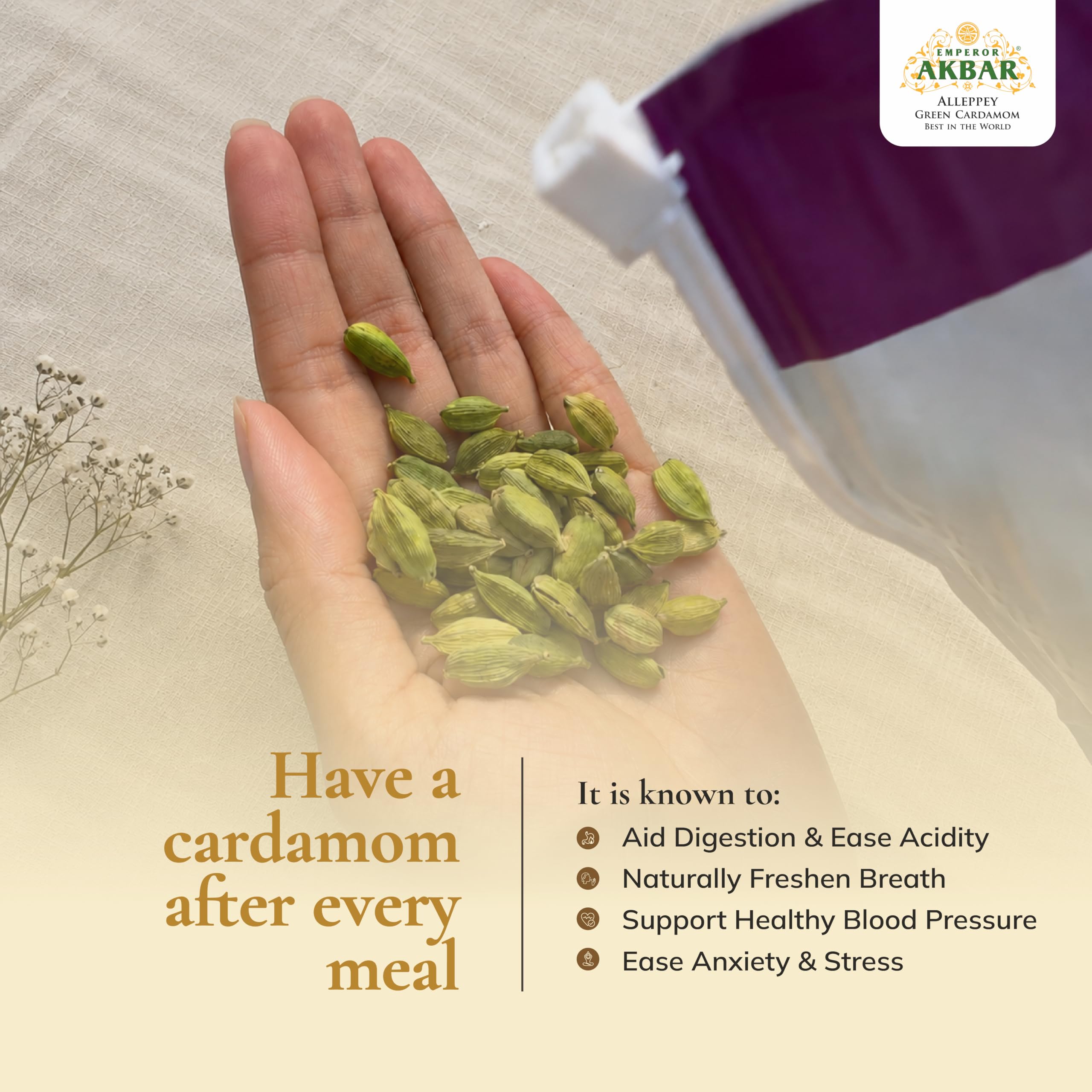 Emperor Akbar Cardamome (Elaichi) – 100 g – Cardamome verte dans un paquet aromatique supérieur (Grade violet – 8 mm ci-dessus)