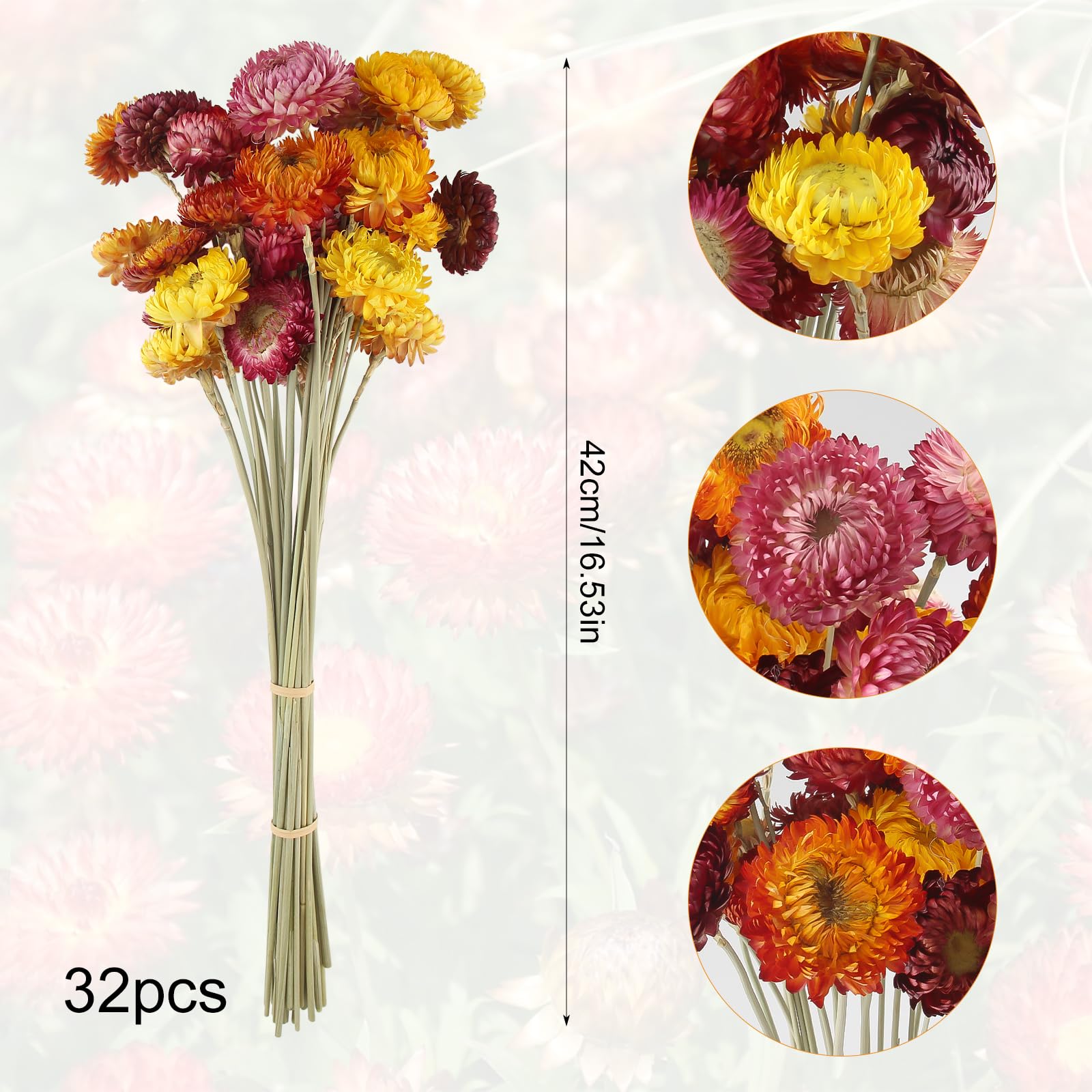 Fiori Secchi Naturali Margherita Composizione 32 Pezzi Stabilizzati per Matrimoni Decorazioni Casa
