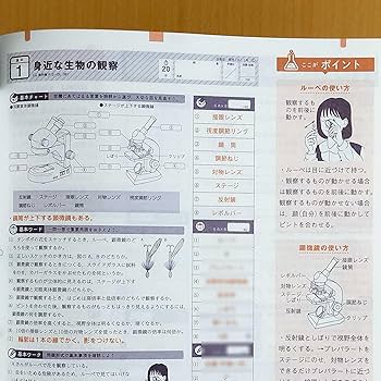 しょうがく社　本科講習（総合）　新年長　年長　全講習分　プリント しょうがく社本科講習（総合）新年長年長全講習分プリント