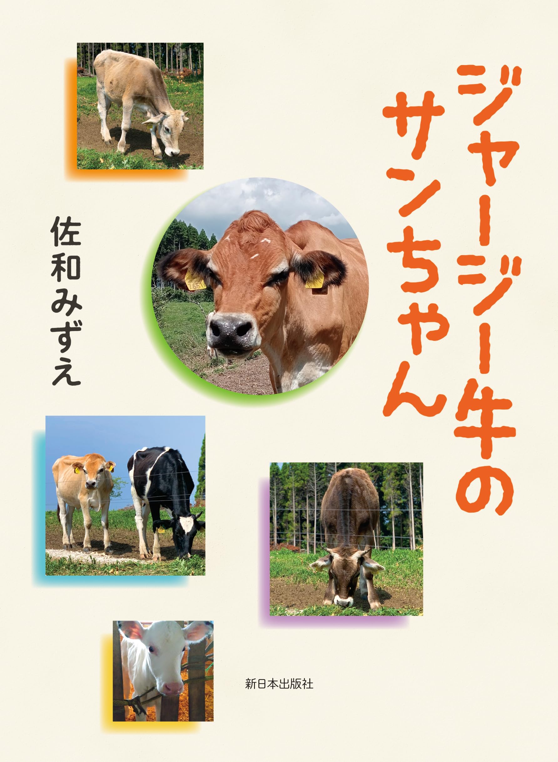 Amazon.co.jp: ジャージー牛のサンちゃん : 佐和みずえ: 本