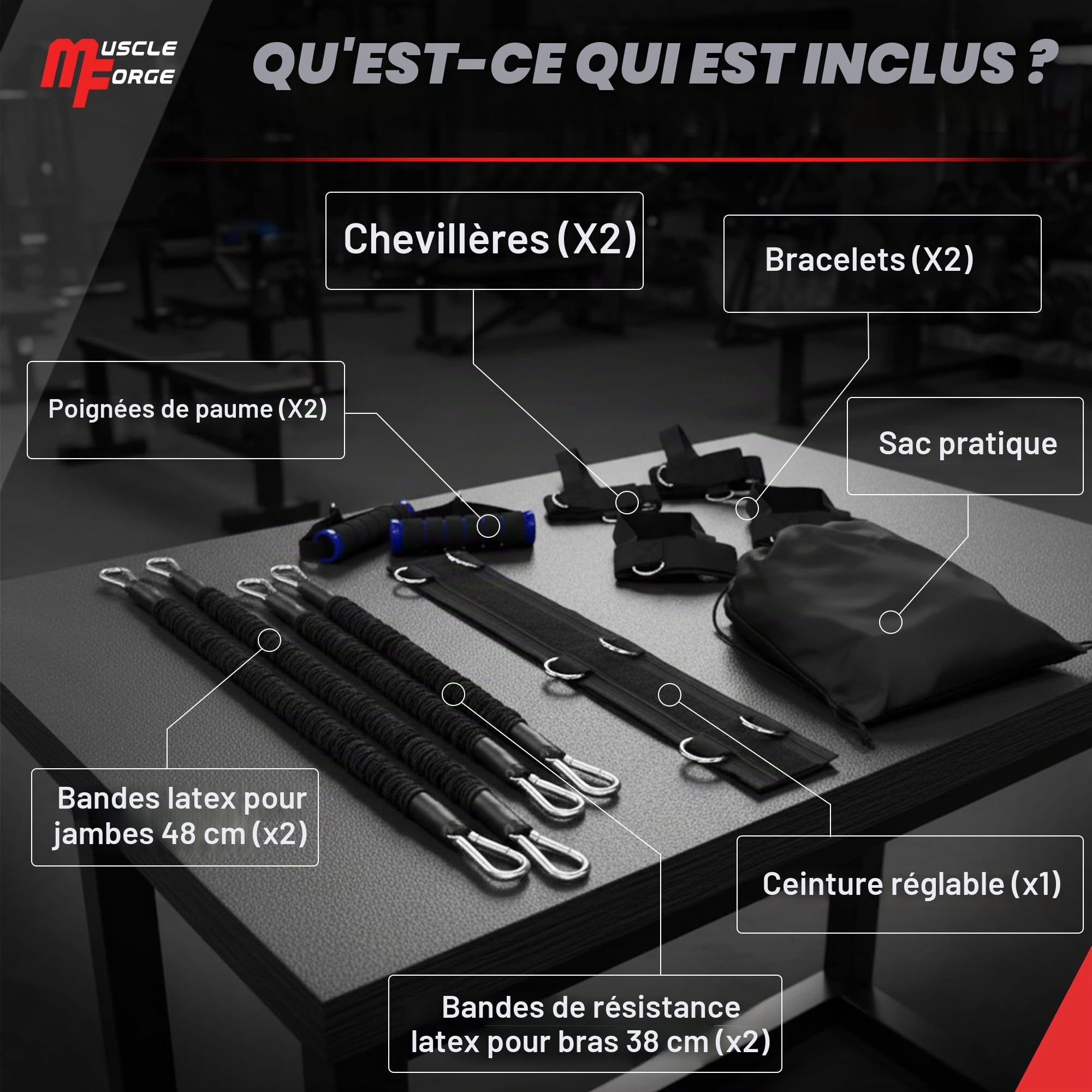 Bandes de résistance pour entraînement Boxe, MMA et Vitesse – Set Complet avec Ceinture, Poignets, Chevilles et poignées – Accessoire Sport pour la Maison ou la Salle, 12 pièces