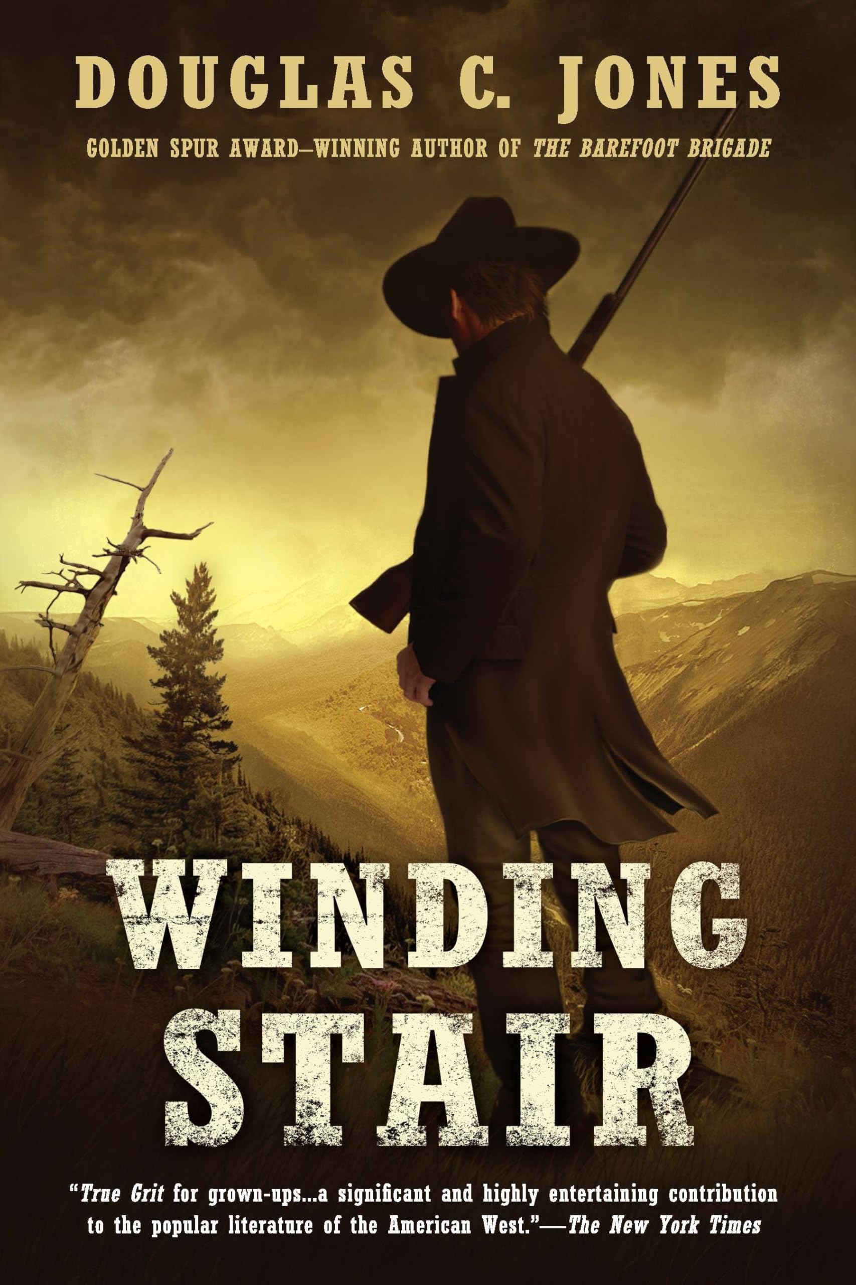 Buy Winding Stair — BookShops.in