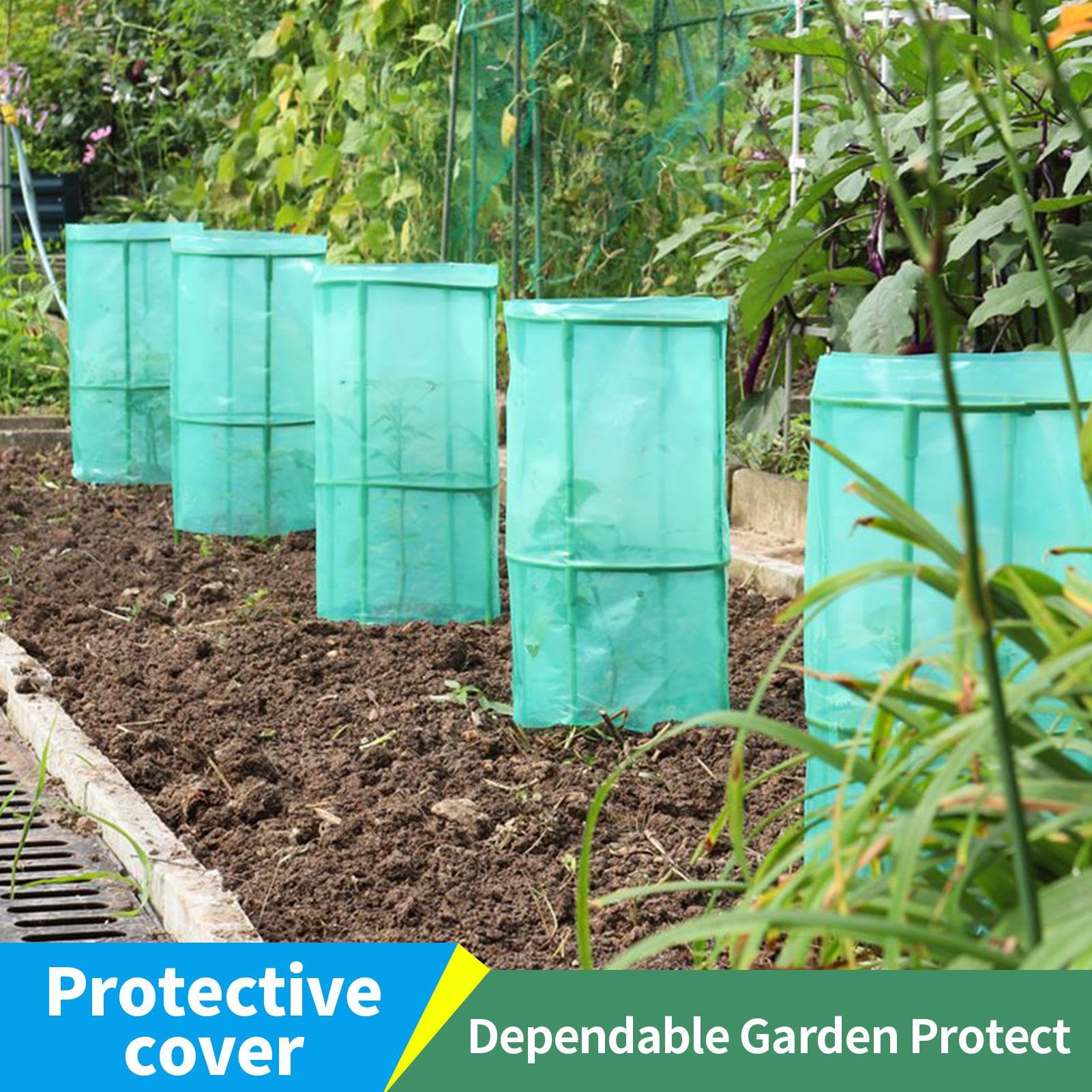 Protections pour Plantes de Jardin – Cloches de semis | Dômes de Jardin Coupe-Vent, Housses réutilisables pour la Protection Contre Le Gel, barrière, Culture surélevée, Bouchons de Serre pour Petites