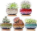 Cute Ceramic Succulent Garden Pots, Planter with Drainage and Attached Saucer, Set of 5 -Plants Not Included (Round)